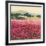 Le Jardin Rouge, Provence-Hazel Barker-Framed Art Print