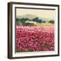 Le Jardin Rouge, Provence-Hazel Barker-Framed Art Print