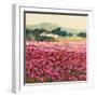 Le Jardin Rouge, Provence-Hazel Barker-Framed Art Print