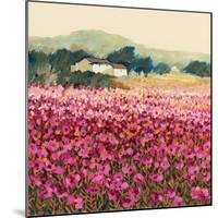 Le Jardin Rouge, Provence-Hazel Barker-Mounted Premium Giclee Print