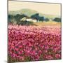 Le Jardin Rouge, Provence-Hazel Barker-Mounted Premium Giclee Print