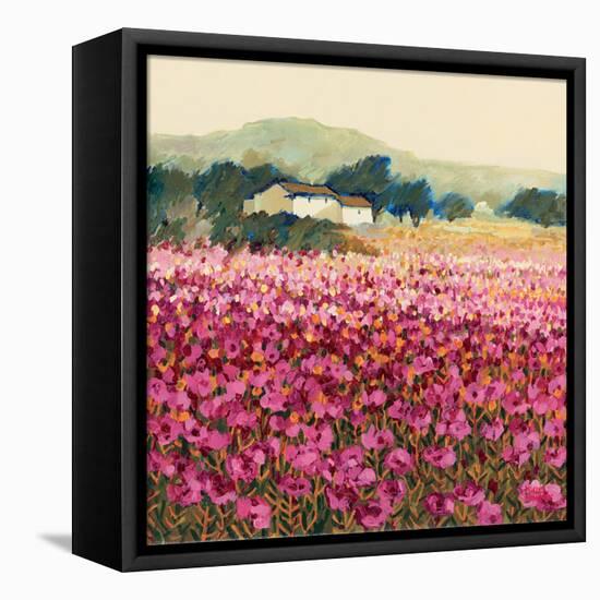 Le Jardin Rouge, Provence-Hazel Barker-Framed Stretched Canvas