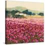 Le Jardin Rouge, Provence-Hazel Barker-Stretched Canvas