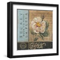 Le Jardin Secret I-Kimberly Poloson-Framed Art Print