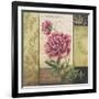 Le Jardin Secret II-Kimberly Poloson-Framed Art Print