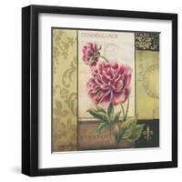 Le Jardin Secret II-Kimberly Poloson-Framed Art Print