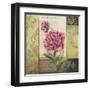 Le Jardin Secret II-Kimberly Poloson-Framed Art Print