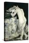 Le jeune garçon au chat-Pierre-Auguste Renoir-Stretched Canvas