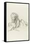 le lion et le rat-Gustave Moreau-Framed Stretched Canvas