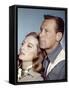 Le Lion (The Lion) by Jack Cardiff with Capucine and William Holden, 1962 (photo)-null-Framed Stretched Canvas