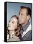 Le Lion (The Lion) by Jack Cardiff with Capucine and William Holden, 1962 (photo)-null-Framed Stretched Canvas