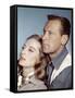 Le Lion (The Lion) by Jack Cardiff with Capucine and William Holden, 1962 (photo)-null-Framed Stretched Canvas