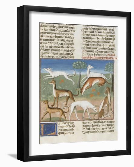 Le Livre de la chasse de Gaston Phébus : le lévrier-null-Framed Giclee Print