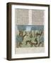 Le Livre de la chasse de Gaston Phébus : le lièvre et sa nature-null-Framed Giclee Print