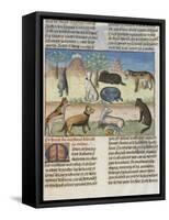Le Livre de la chasse de Gaston Phébus : le mastiff ou mâtin, chien de garde-null-Framed Stretched Canvas