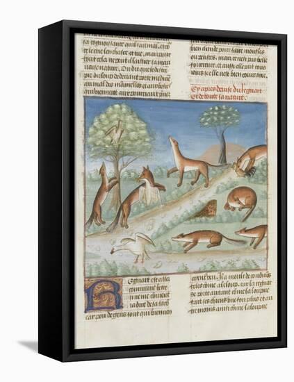 Le Livre de la chasse de Gaston Phébus : le renard et sa nature-null-Framed Stretched Canvas