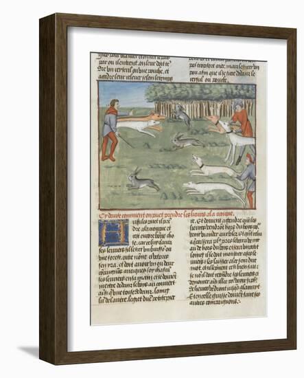Le Livre de la chasse de Gaston Phébus : les lévriers coursent les lièvres-null-Framed Giclee Print