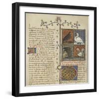 Le Livre des propriétés des choses (De proprietatibus rerum)-null-Framed Giclee Print