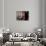 Le Locataire (photo)-null-Photo displayed on a wall