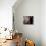 Le Locataire (photo)-null-Photo displayed on a wall