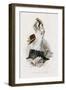 Le Lutrin, Ch V-Emile Antoine Bayard-Framed Giclee Print