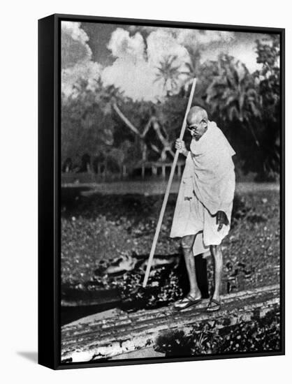 Le Mahatma Mohandas Karamchand Gandhi (1869-1948) During Salt March in 1930-null-Framed Stretched Canvas