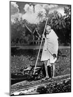 Le Mahatma Mohandas Karamchand Gandhi (1869-1948) During Salt March in 1930-null-Mounted Photo