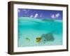 Le Maitai Dream Fakarava Resort, Fakarava, Tuamotus, French Polynesia-Michele Westmorland-Framed Photographic Print