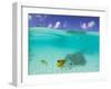 Le Maitai Dream Fakarava Resort, Fakarava, Tuamotus, French Polynesia-Michele Westmorland-Framed Photographic Print