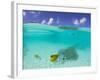 Le Maitai Dream Fakarava Resort, Fakarava, Tuamotus, French Polynesia-Michele Westmorland-Framed Photographic Print