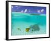 Le Maitai Dream Fakarava Resort, Fakarava, Tuamotus, French Polynesia-Michele Westmorland-Framed Photographic Print