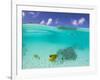 Le Maitai Dream Fakarava Resort, Fakarava, Tuamotus, French Polynesia-Michele Westmorland-Framed Photographic Print