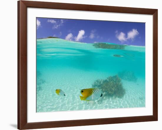 Le Maitai Dream Fakarava Resort, Fakarava, Tuamotus, French Polynesia-Michele Westmorland-Framed Photographic Print