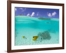 Le Maitai Dream Fakarava Resort, Fakarava, Tuamotus, French Polynesia-Michele Westmorland-Framed Photographic Print