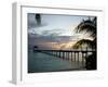 Le Maitai Dream Fakarava Resort, Fakarava, Tuamotus, French Polynesia-Michele Westmorland-Framed Premium Photographic Print