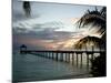 Le Maitai Dream Fakarava Resort, Fakarava, Tuamotus, French Polynesia-Michele Westmorland-Mounted Photographic Print