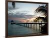 Le Maitai Dream Fakarava Resort, Fakarava, Tuamotus, French Polynesia-Michele Westmorland-Framed Photographic Print