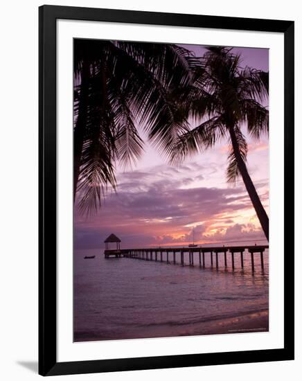 Le Maitai Dream Fakarava Resort, Fakarava, Tuamotus, French Polynesia-Michele Westmorland-Framed Photographic Print