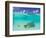 Le Maitai Dream Fakarava Resort, Fakarava, Tuamotus, French Polynesia-Michele Westmorland-Framed Photographic Print