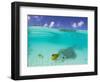 Le Maitai Dream Fakarava Resort, Fakarava, Tuamotus, French Polynesia-Michele Westmorland-Framed Photographic Print