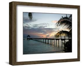 Le Maitai Dream Fakarava Resort, Fakarava, Tuamotus, French Polynesia-Michele Westmorland-Framed Photographic Print