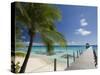 Le Maitai Dream Hotel, Fakarawa, Tuamotu Archipelago, French Polynesia, Pacific Islands, Pacific-Sergio Pitamitz-Stretched Canvas