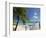 Le Maitai Dream Hotel, Fakarawa, Tuamotu Archipelago, French Polynesia, Pacific Islands, Pacific-Sergio Pitamitz-Framed Photographic Print