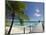 Le Maitai Dream Hotel, Fakarawa, Tuamotu Archipelago, French Polynesia, Pacific Islands, Pacific-Sergio Pitamitz-Mounted Photographic Print