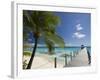 Le Maitai Dream Hotel, Fakarawa, Tuamotu Archipelago, French Polynesia, Pacific Islands, Pacific-Sergio Pitamitz-Framed Photographic Print