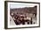 Le Mans Racing Circuit, France, 1959-null-Framed Photo