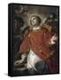 Le martyre de Saint Laurent-Corrado Giaquinto-Framed Stretched Canvas