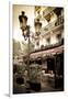 Le Metro Restaurant, Left Bank, Paris, France-Russ Bishop-Framed Photographic Print