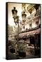 Le Metro Restaurant, Left Bank, Paris, France-Russ Bishop-Framed Stretched Canvas