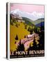 Le Mont Revard-null-Stretched Canvas